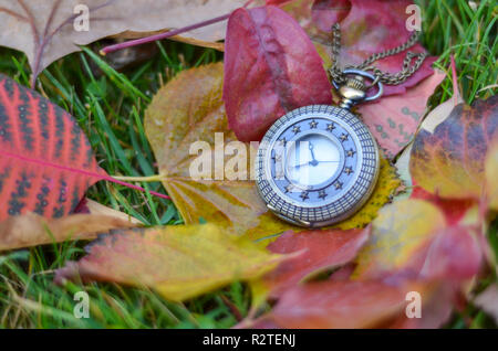 Pocket watch is on autumn leaves Stock Photo