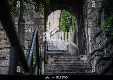 Old city steps made from stone and green plants surrounded with houses., Rijeka Croatia. Stock Photo