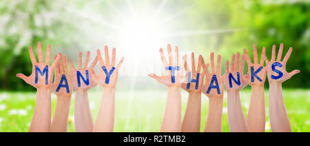 Many Hands Building Many Thanks, Sunny Grass Meadow Stock Photo