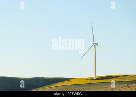 Wind turbine on sunny morning Stock Photo
