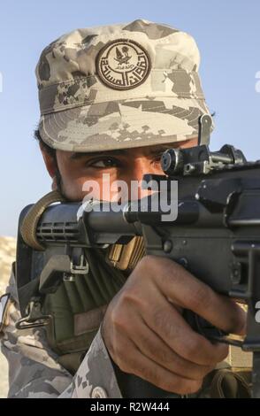 UM HATTAH, Qatar – Qatari soldiers (left) discuss the capabilities of a ...