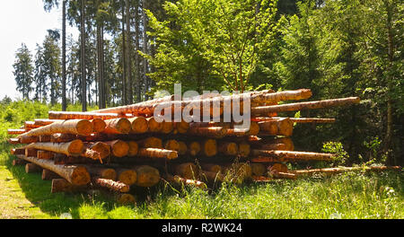 Pile of freshly harvested and debarked tree trunks in a forest