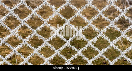 Rime on the fence. Hard rime on wire mesh. Frozen fence on a cold november day. Detail of frozen fence. Stock Photo