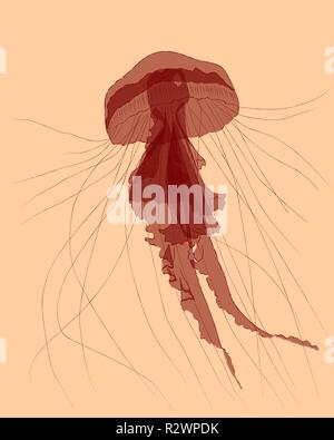 Red jellyfish on light background, vector illustration Stock Vector