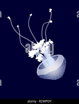 Blue jellyfish on dark background, vector illustration Stock Vector