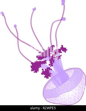 Purple jellyfish on light background, vector illustration Stock Vector