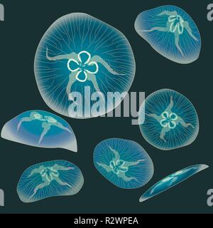Group of blue jellyfishs on dark background, vector illustration Stock Vector