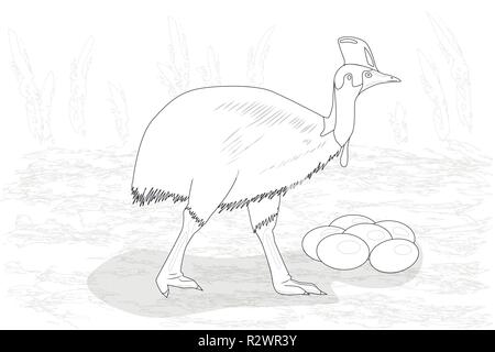 Adult cassowary with eggs, black and white vector illustration Stock Vector