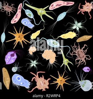 Set of different single-celled eukaryote  Protozoas, Vector illustration Stock Vector