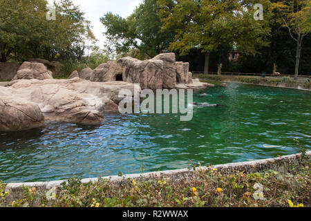 Sea Lion enclosure at the Bronx Zoo, New York , United States of America. Stock Photo