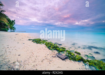 Tropical beach at sunset nature background. Moss on rocks with amazing colorful sky. Long exposure seascape with beach coastline Stock Photo
