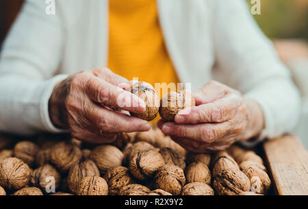 An elderly woman outdoors on a terrace on a sunny day in autumn, holding walnuts. Stock Photo