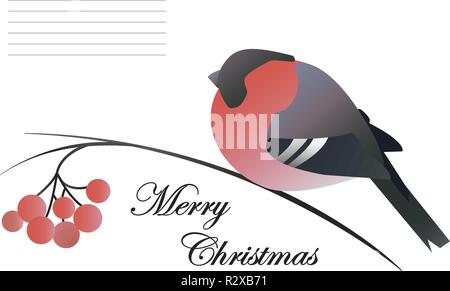 The Christmas composition of a bullfinch, rowan branch and reddish berries on a white background Stock Vector