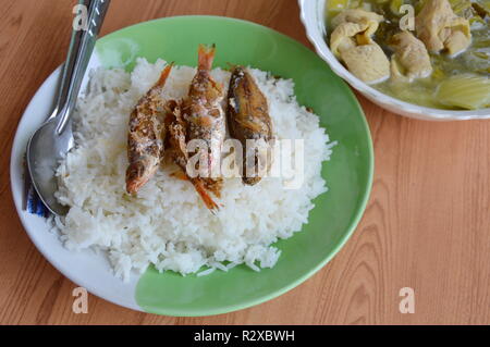 deep fried fish topping on rice and pickled Chinese cabbage with pork entrails soup Stock Photo