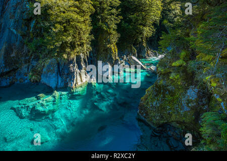 Famous turist attraction - Blue Pools, Haast Pass,  New Zealand, South Island Stock Photo
