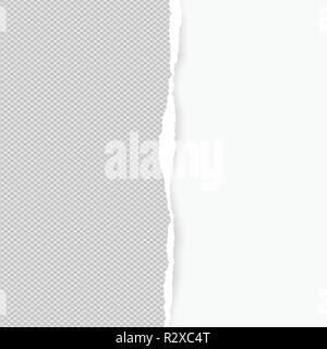 Squared ripped vertical grey paper for text or message are on white background. Vector illustration Stock Vector