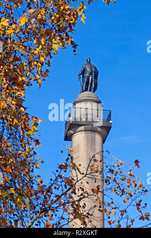 London, Westminster.  The Duke of York Column of 1834 in Waterloo Place. Stock Photo