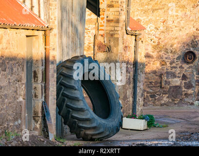 Enormous tractor tyre propped against wall of a farm building in a farmyard, East Lothian, Scotland, UK Stock Photo