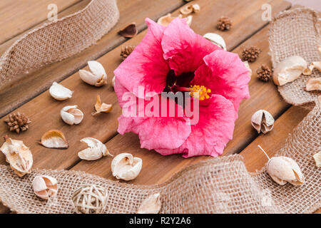 Red Hibiscus flower composition on wooden surface Stock Photo