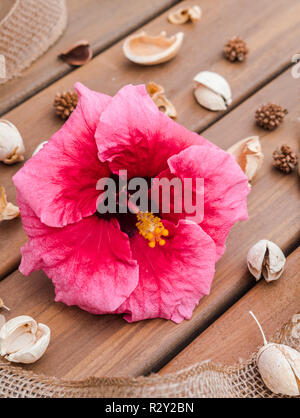Red Hibiscus flower composition on wooden surface Stock Photo
