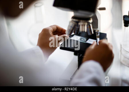 Scientist adjusting a microscope. Stock Photo