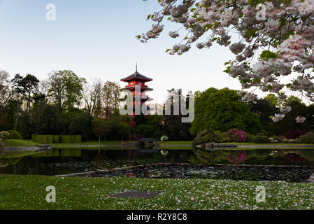 Vue over the Royal  gardens with cherry tree blossoms and the Japanse tower reflecting in the pond Stock Photo