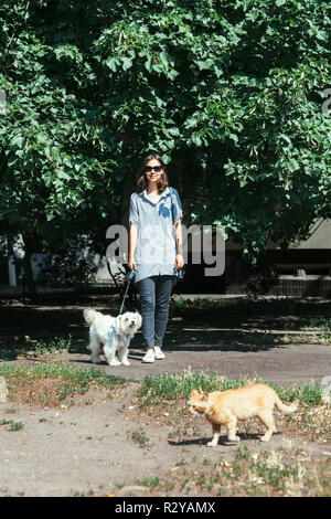 Little white dog with owner walking on city. Dog and cat concept Stock Photo