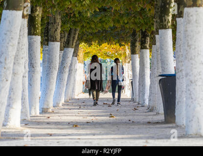 Two young women walking in alley tree, Mont des Arts in Brussels Stock Photo