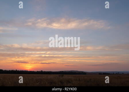 Beautiful colorful vibrant african sunset over yellow bushveld, South Africa Stock Photo