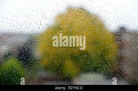 Rain drops on window, with tree. Stock Photo