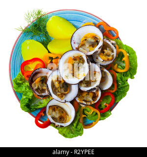 Top view of baked in oven European bittersweet clams served with boiled potatoes, fresh vegetables and greens. Isolated over white background Stock Photo