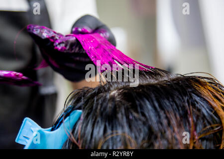 Professional hairdresser dyeing hair. Multicolor Stock Photo