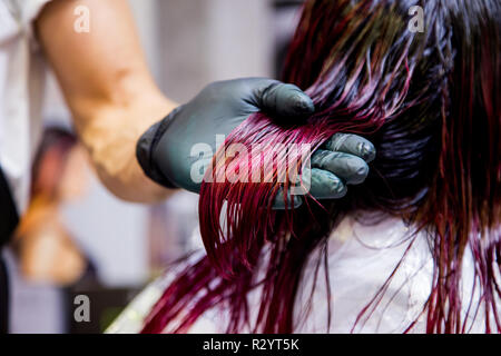 Professional hairdresser dyeing hair. Multicolor Stock Photo