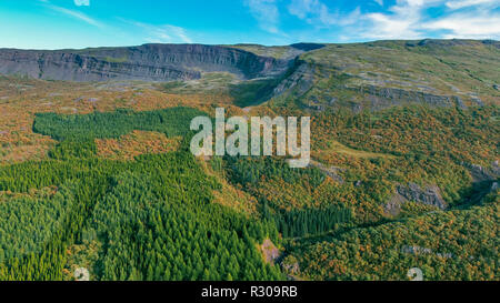 The Hallormsstadur Forest, Eastern Iceland Stock Photo - Alamy