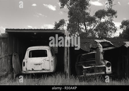 Two abandoned old cars in a rotting shed: 230 Scenic Drive, Merewether Heights, Newcastle, New South Wales, Australia; Black and white version Stock Photo