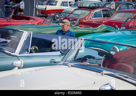 A man sits amongst classic British sports cars from the sixties at the annual Kop Hill Climb, Buckinghamshire Stock Photo