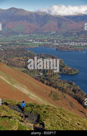 Fellwalker with his dog climbing up the slopes of Catbells a compact mountain in the English Lake District. Stock Photo