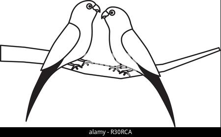 two parrots bird on branch vector illustration Stock Vector