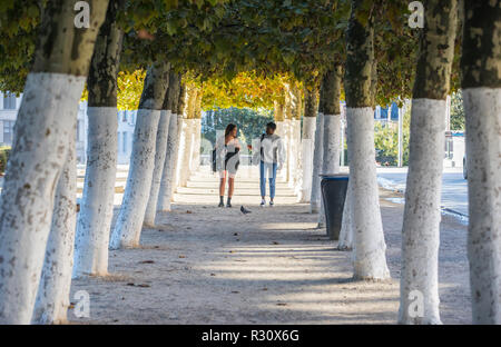Two young women walking in alley tree, Mont des Arts in Brussels Stock Photo