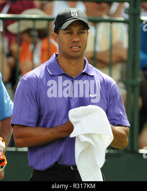 DORAL, FLORIDA - NOVEMBER 20: (FILE PHOTOS) The wait is finally over. Capital One's The Match will feature the first-ever, head-to-head duel between 14-time Major Champion Tiger Woods and five-time Major Champion Phil Mickelson. The stakes are high, with Tiger and Phil vying for the winner-take-all $9 million prize, the Friday after Thanksgiving, at the exclusive Shadow Creek Golf Course in Las Vegas  People:  Tiger Woods Stock Photo