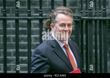 London UK. 21st November 2018. DR Liam Fox MP for East Kilbride and Secretary of State for International Trade and President of the Board of Trade arrives at Downing Street with an aide Credit: amer ghazzal/Alamy Live News Stock Photo