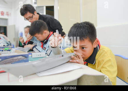 Shishi, China's Fujian Province. 20th Nov, 2018. Students attend aeromodelling after-school class at Jinfeng experimental school at Shishi City, southeast China's Fujian Province, Nov. 20, 2018. More than 40 schools provide extracurricular training for students whose parents are still at work when school is over in Shishi. Credit: Song Weiwei/Xinhua/Alamy Live News Stock Photo