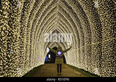 Kew Gardens, London, 21st Nov 2018. Cathedral of Light - Kew’s largest ever tunnel of lights reaching 7m tall and 70m in length. Returning to the Royal Botanical Gardens at Kew is 'Christmas at Kew, an illuminated trail through Kew’s after-dark landscape, lit up by over one million twinkling lights, and featuring spectacular light and sound installations along the route, including light tunnels and, at the end, the spectacular Palm House Grand Finale with laser show. (all child models were provided by the venue and consent was obtained) Credit: Imageplotter News and Sports/Alamy Live News Stock Photo
