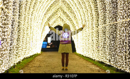 Kew Gardens, London, 21st Nov 2018. Cathedral of Light - Kew’s largest ever tunnel of lights reaching 7m tall and 70m in length. Returning to the Royal Botanical Gardens at Kew is 'Christmas at Kew, an illuminated trail through Kew’s after-dark landscape, lit up by over one million twinkling lights, and featuring spectacular light and sound installations along the route, including light tunnels and, at the end, the spectacular Palm House Grand Finale with laser show. (all child models were provided by the venue and consent was obtained) Credit: Imageplotter News and Sports/Alamy Live News Stock Photo