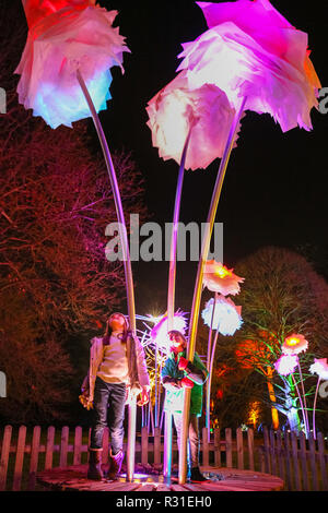 Kew Gardens, London, 21st Nov 2018. Two children have fun in the enchanting field of illuminated flowers. Returning to the Royal Botanical Gardens at Kew is 'Christmas at Kew, an illuminated trail through Kew’s after-dark landscape, lit up by over one million twinkling lights, and featuring spectacular light and sound installations along the route, including light tunnels and, at the end, the spectacular Palm House Grand Finale with laser show. (all child models were provided by the venue and consent was obtained) Credit: Imageplotter News and Sports/Alamy Live News Stock Photo