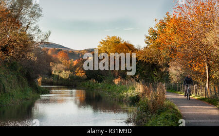 Edinburgh, Scotland. 10/26/18. Man cycling on a path by Union Canal surrounded by green grass and autumnal coloured trees Stock Photo