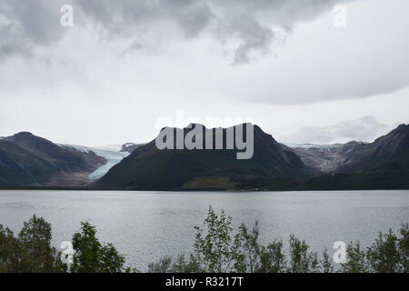 Gletscher, Svartisen, Svartisengletscher, Saltfjellet, Nationalpark, Fjord, Holandsfjorden, Nordfjorden, Schnee, Eis, Eisschicht, kalt, mächtig, Zunge Stock Photo