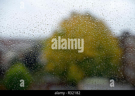 Rain drops on window, with tree. Stock Photo