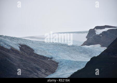 Gletscher, Svartisen, Svartisengletscher, Saltfjellet, Nationalpark, Fjord, Holandsfjorden, Nordfjorden, Schnee, Eis, Eisschicht, kalt, mächtig, Zunge Stock Photo