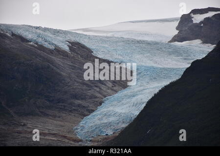 Gletscher, Svartisen, Svartisengletscher, Saltfjellet, Nationalpark, Fjord, Holandsfjorden, Nordfjorden, Schnee, Eis, Eisschicht, kalt, mächtig, Zunge Stock Photo